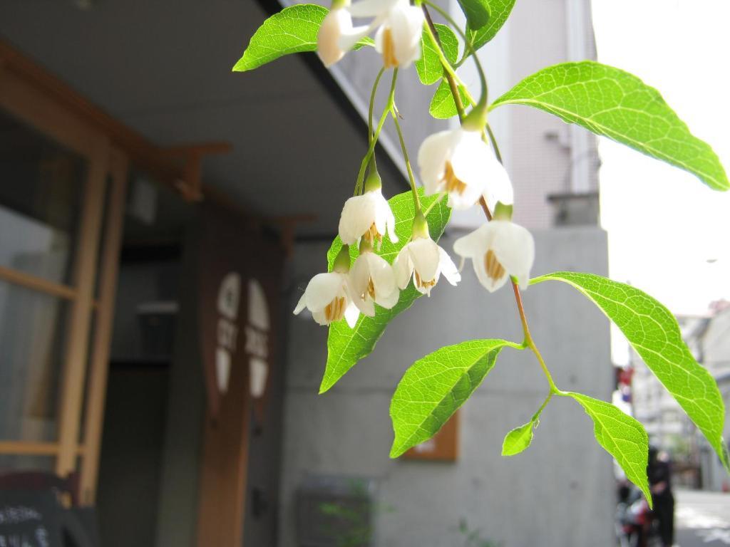 Guesthouse Hyakumanben Cross Kyoto Ngoại thất bức ảnh